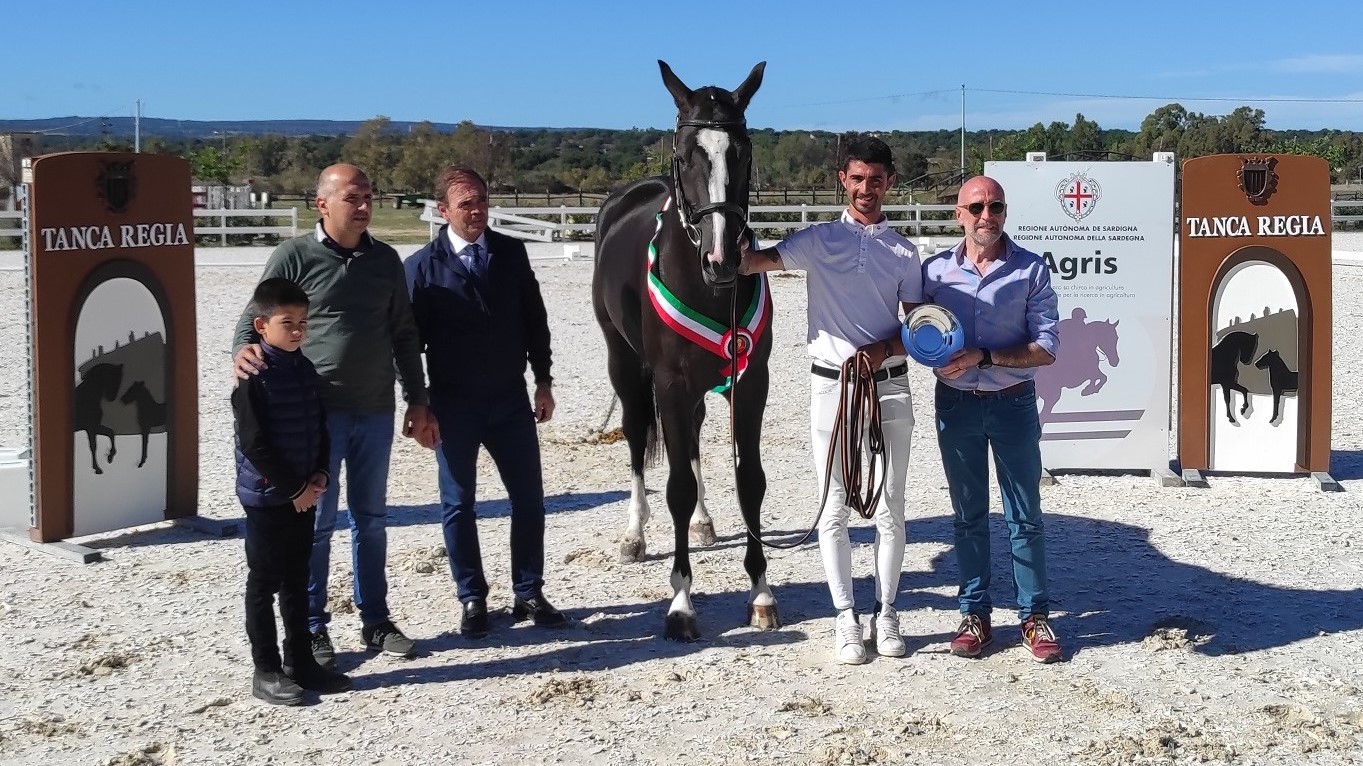 Sardegna: Dillaru Sardo è il puledro campione regionale 2022