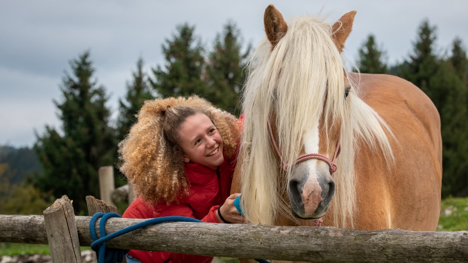 Benessere del cavallo for dummies nr.3: il governo prima di tutto, anche in trekking