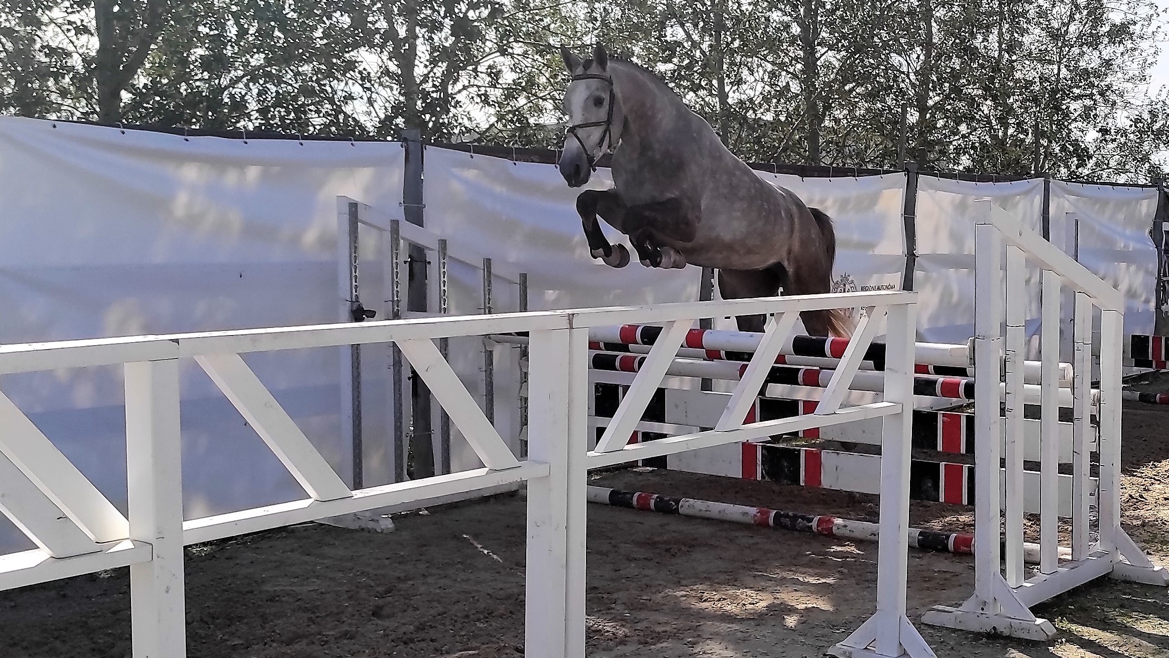 un salto in libertà