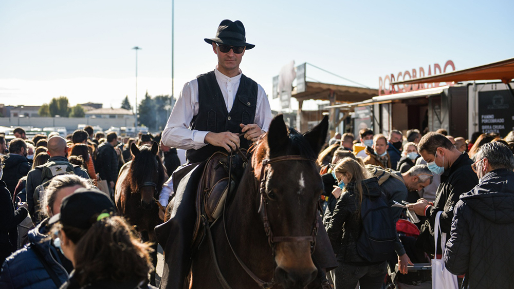 Da domani a Fieracavalli. “Insieme. Vicini”