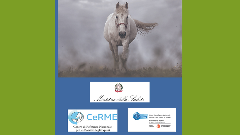 Convegno Internazionale sulle malattie del cavallo