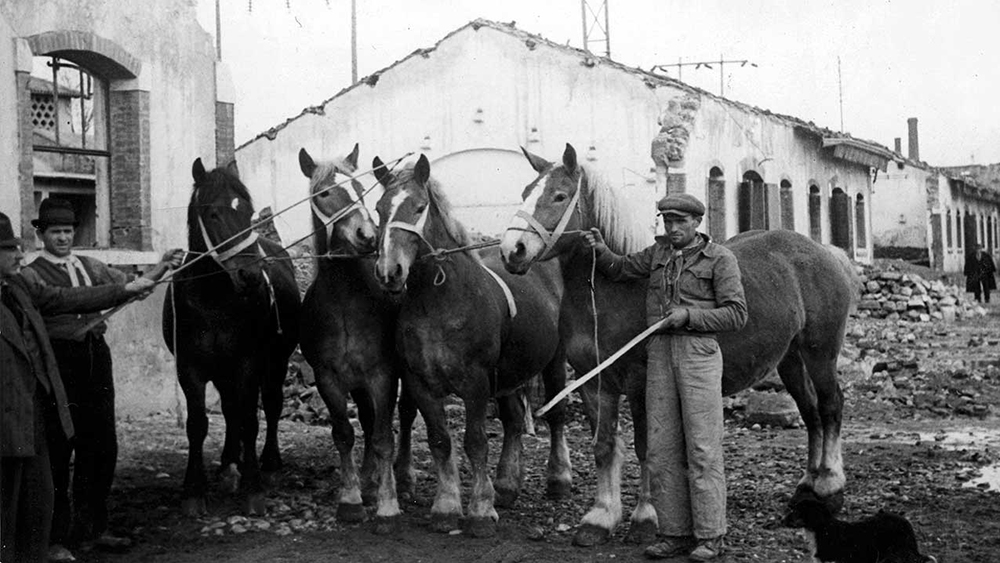 foto archivio verona fiere