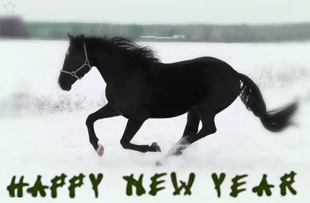 Buon anno cavalli!