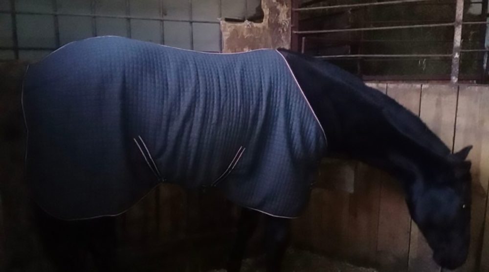 Ucraina: lo spietatissimo generale inverno