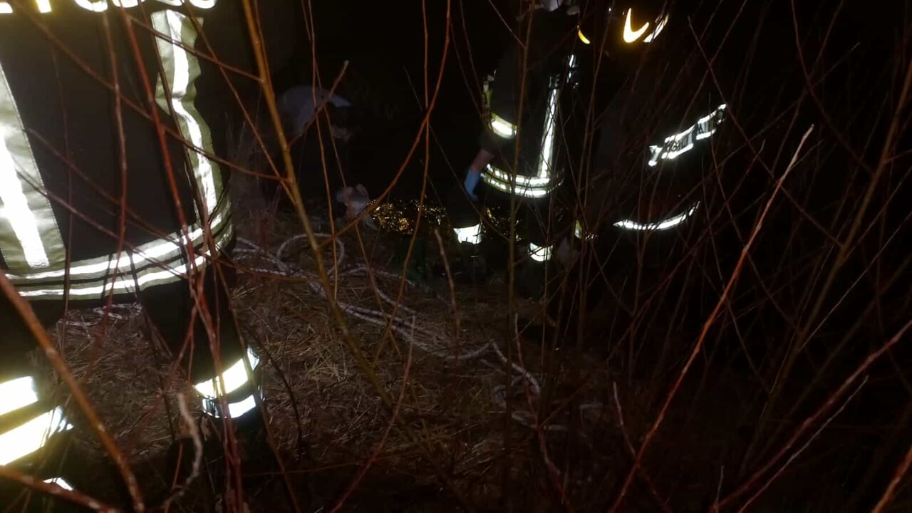 Petardi, fuga e morte di un cavallo a Udine: il vademecum anti-botti