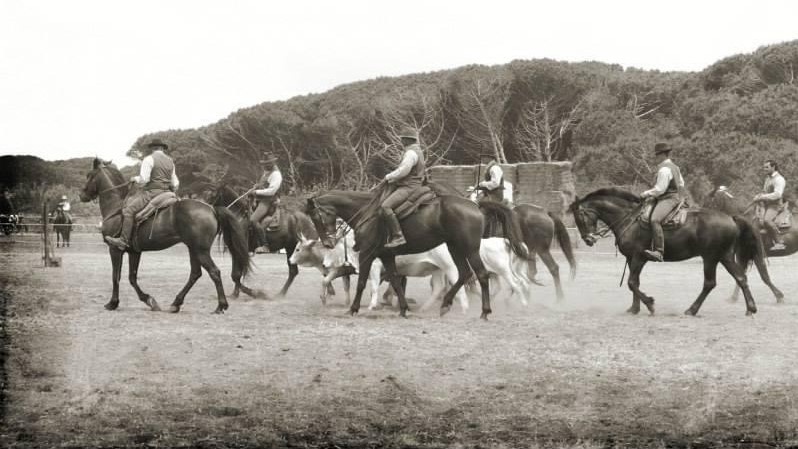 A Civitella Cesi: Tre giorni da Buttero