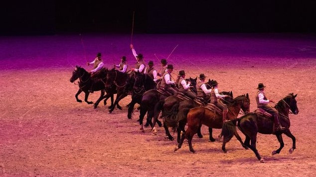 La Bardella Maremmana, che ha fatto innamorare la Germania