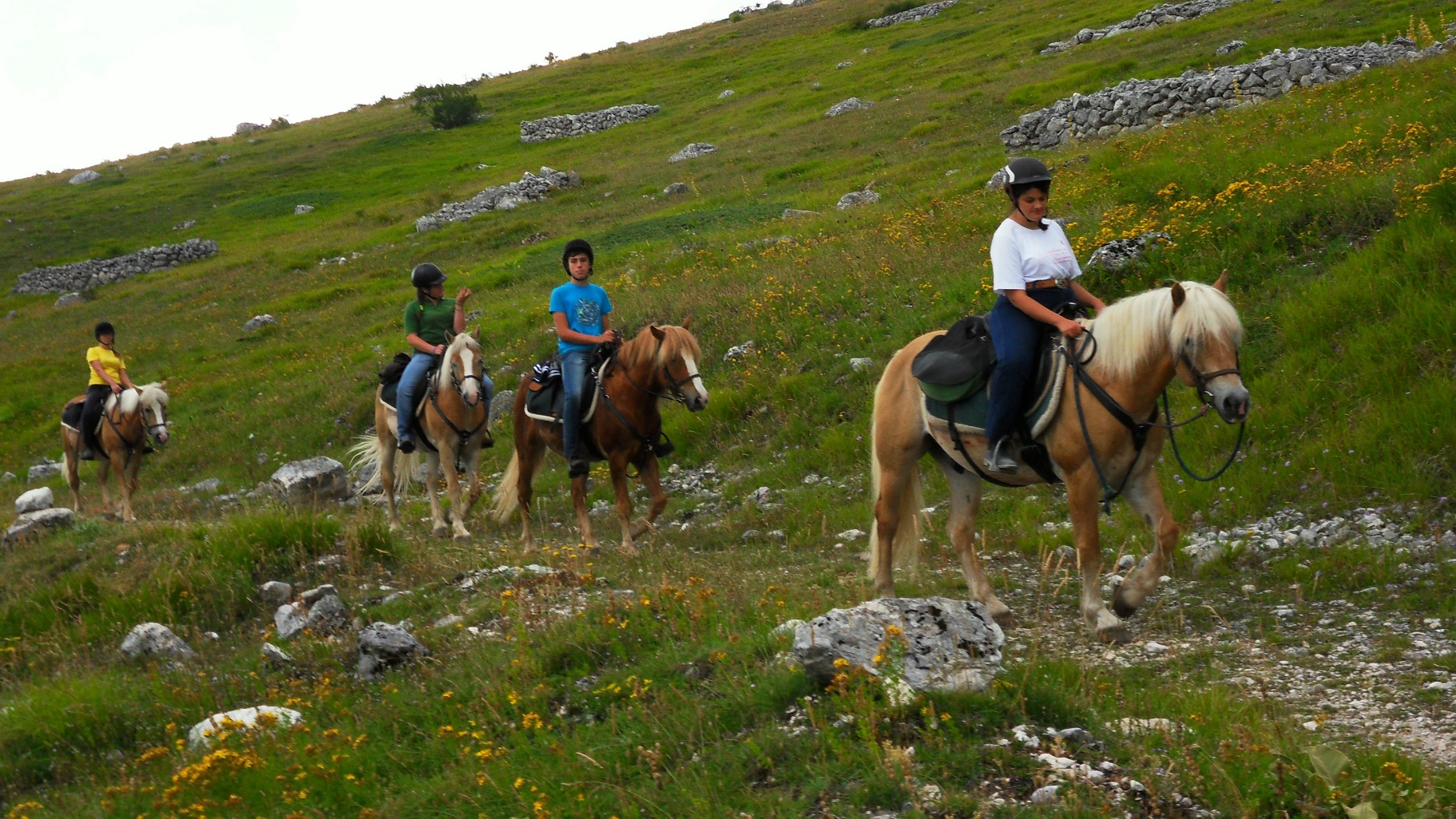 Dalla Majella ai ragazzi speciali, con molto amore: gli Haflinger di Franck