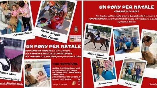 Da domani la pony-terapia arriva a Conegliano e Treviso