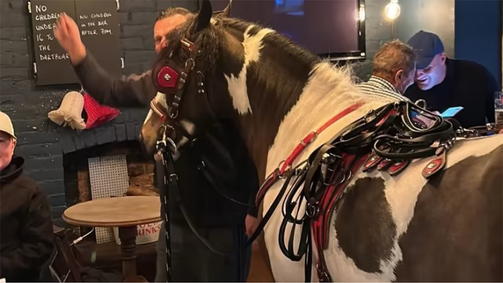 Cavallo al pub: troppo anche per gli inglesi