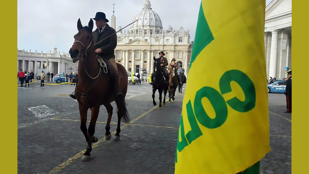 Domani a San Pietro, mucche, pecore e cavalli