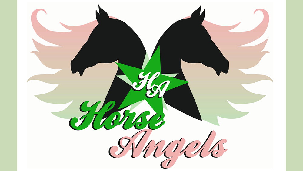 Horse Angels: facciamo cultura insieme