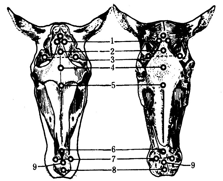 Csgk0Fx3oHSAcJwRAAJrjVieRnE371