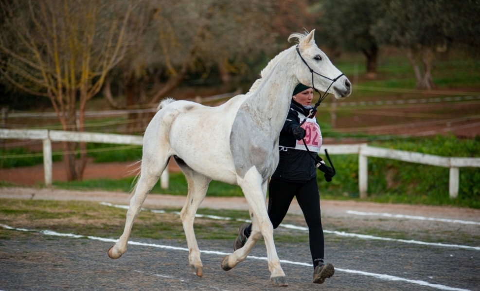 Giada Falorni e Ali Fal: una vittoria cresciuta in famiglia