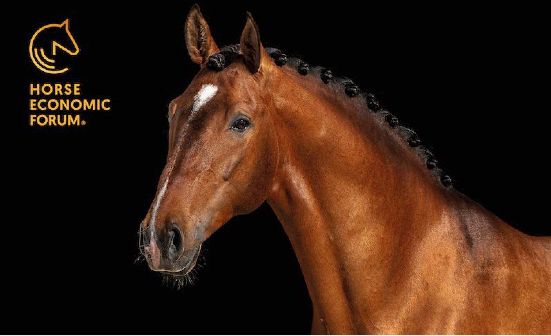 Novità: Horse Economic Forum
