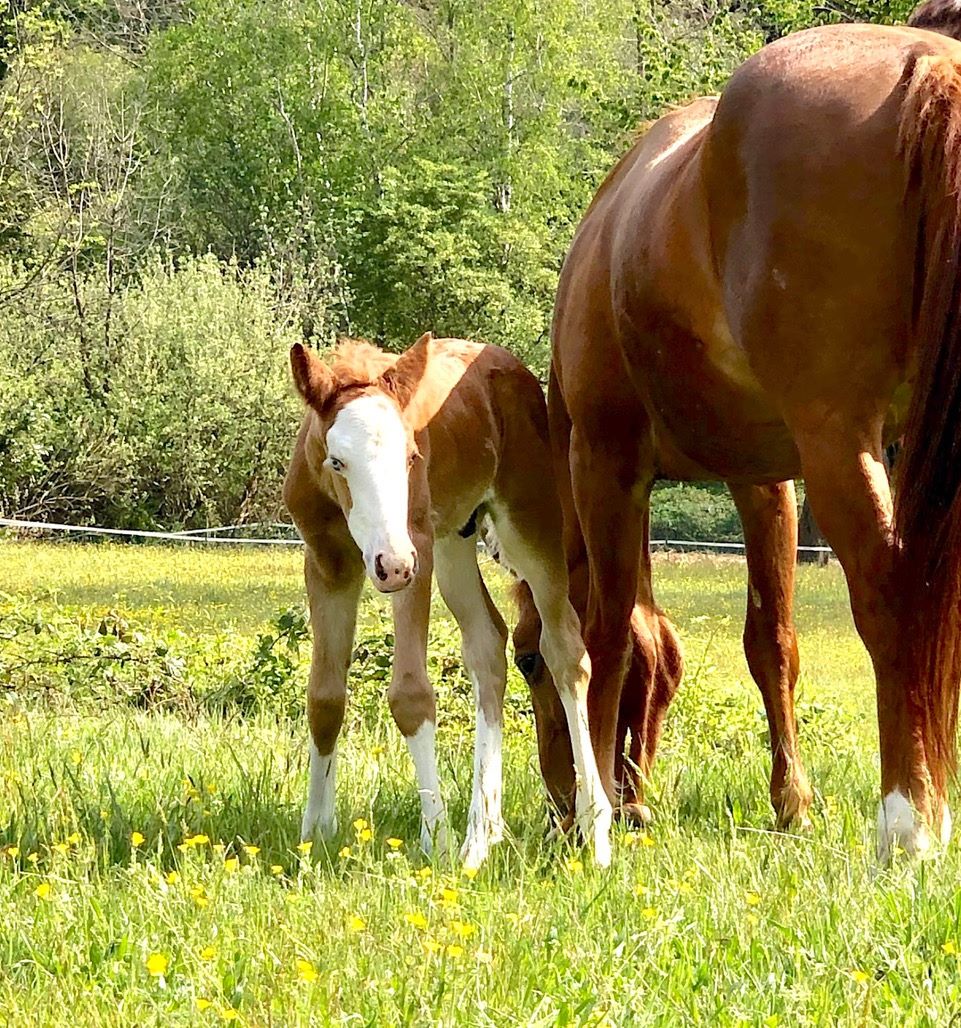 WhatsApp Image 2023 02 28 at 15.02.44