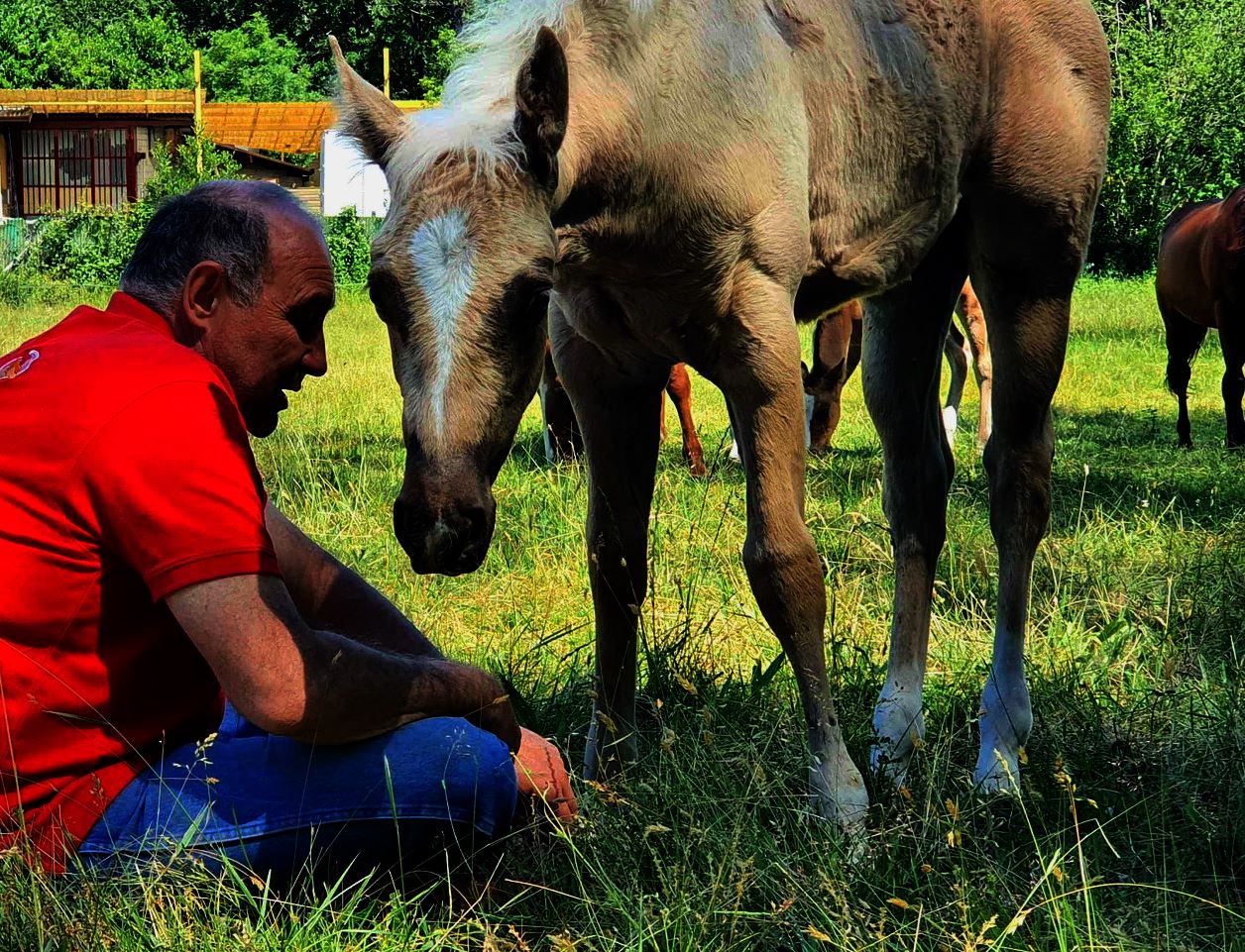 WhatsApp Image 2023 02 28 at 15.03.04