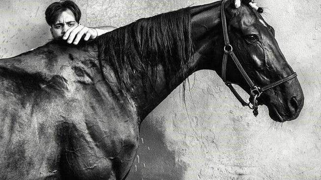 Ippodromo, mondo di cavalli: a Bologna Box 202 di Andrea Bernardini