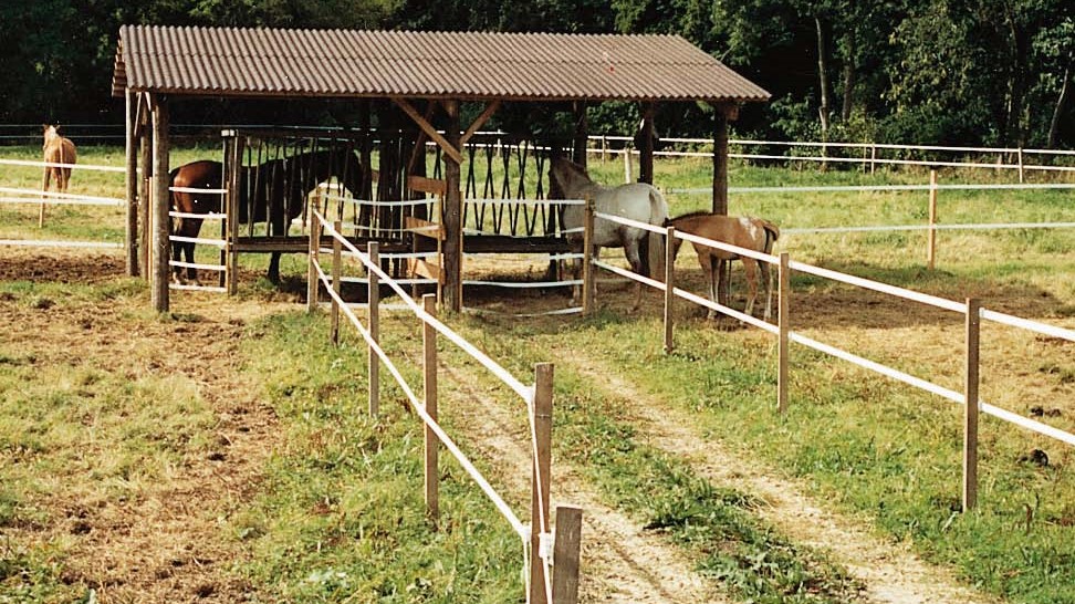 Badi Farm è il mondo del cavallo: soluzioni per il comfort e la sicurezza dei i nostri cavalli