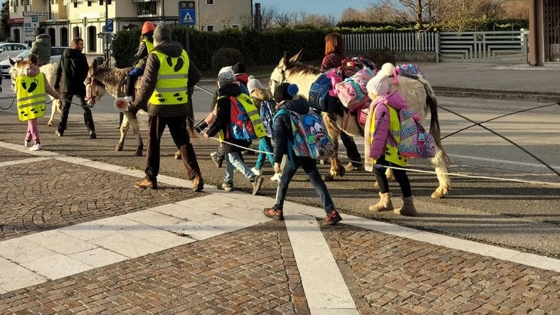 A Godega gli asini hanno dato il ‘la’ per l’Antica Fiera