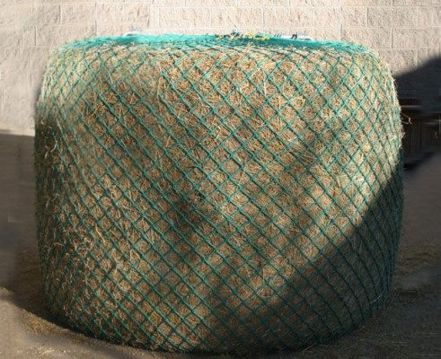 net360bf
