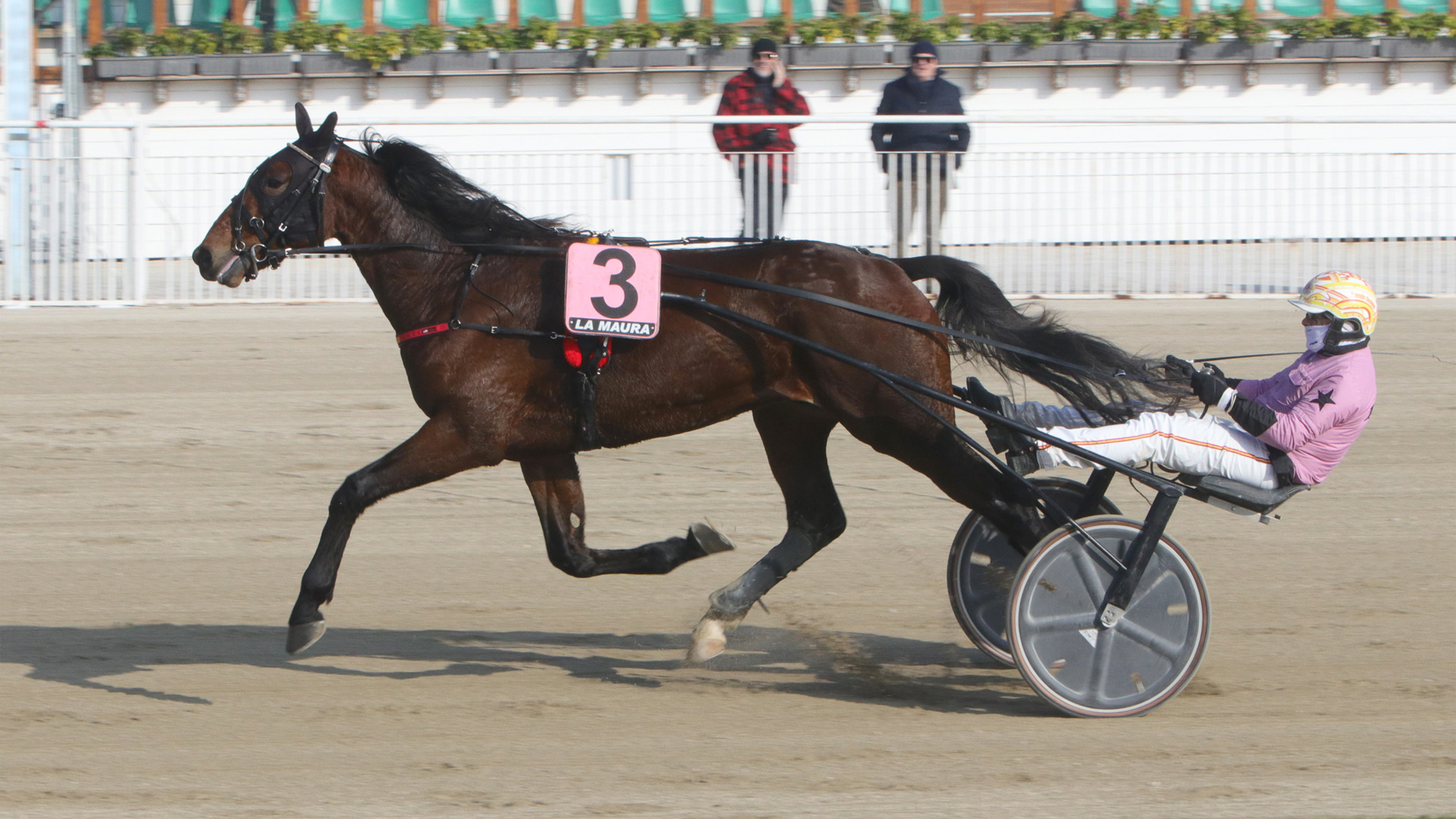 Executiv Ek a tempo di record
