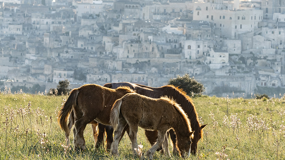 Un Parco unico anche grazie ai Caitpr