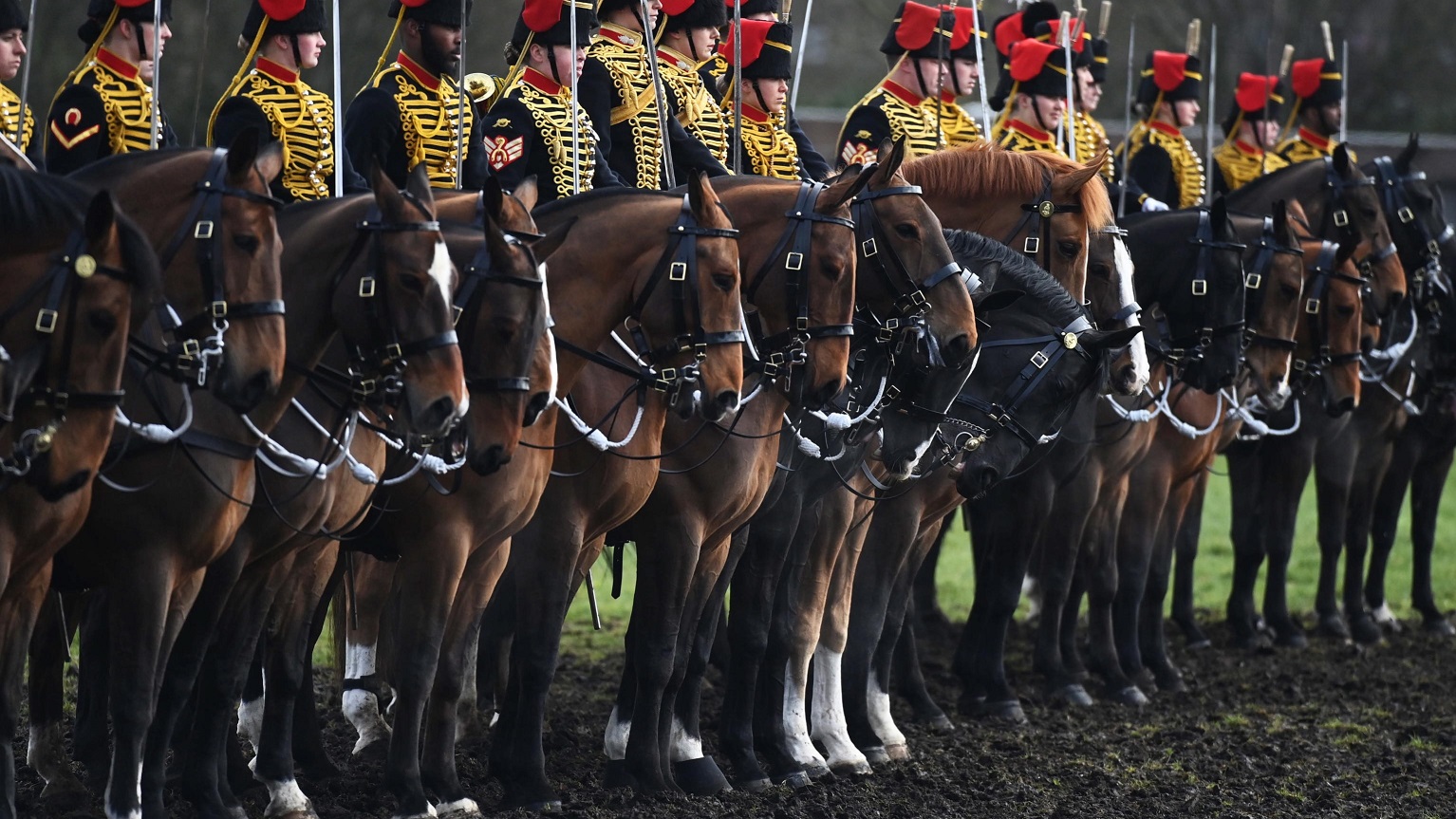 Gran Bretagna: King’s Troop Royal Horse Artillery sotto esame