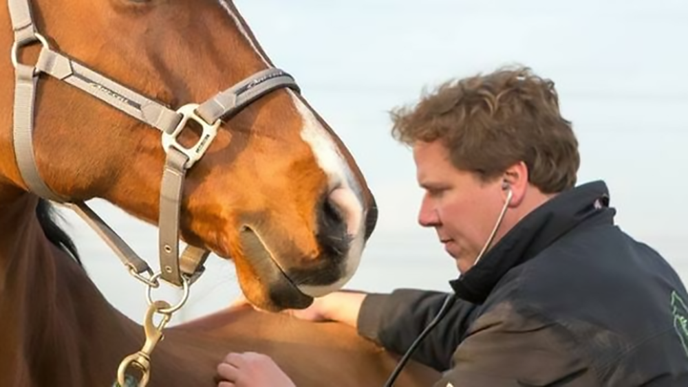 West Nile Disease: conoscere per combattere