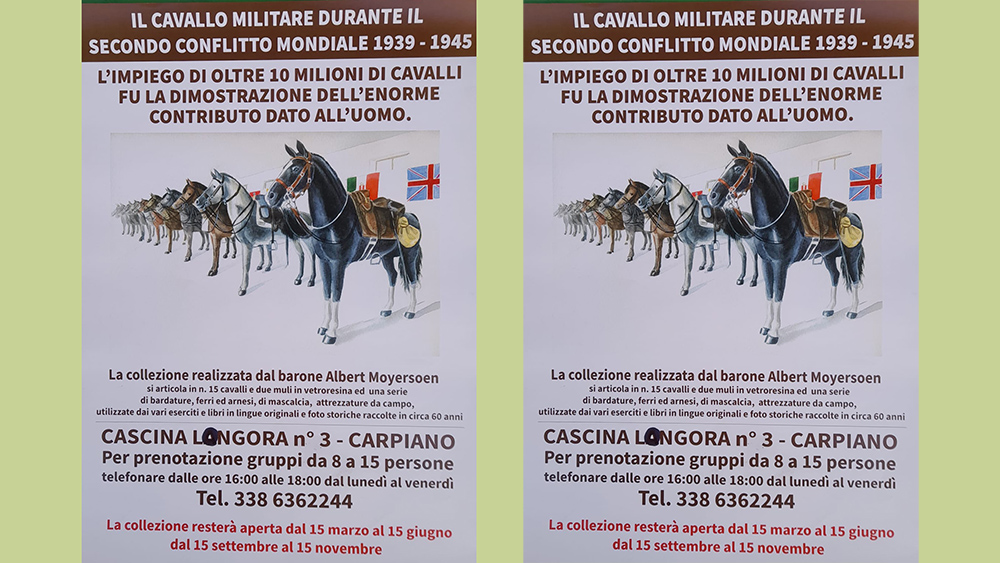 La collezione del barone Moyersoen