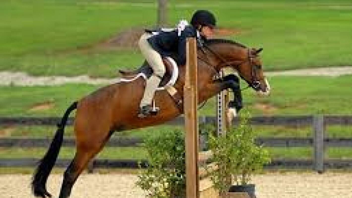 Al via il progetto “Training Pony Liguria”