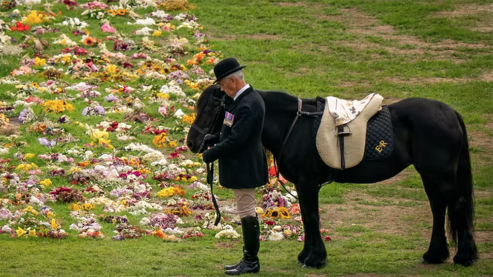 A Windsor il groom diventa cavaliere