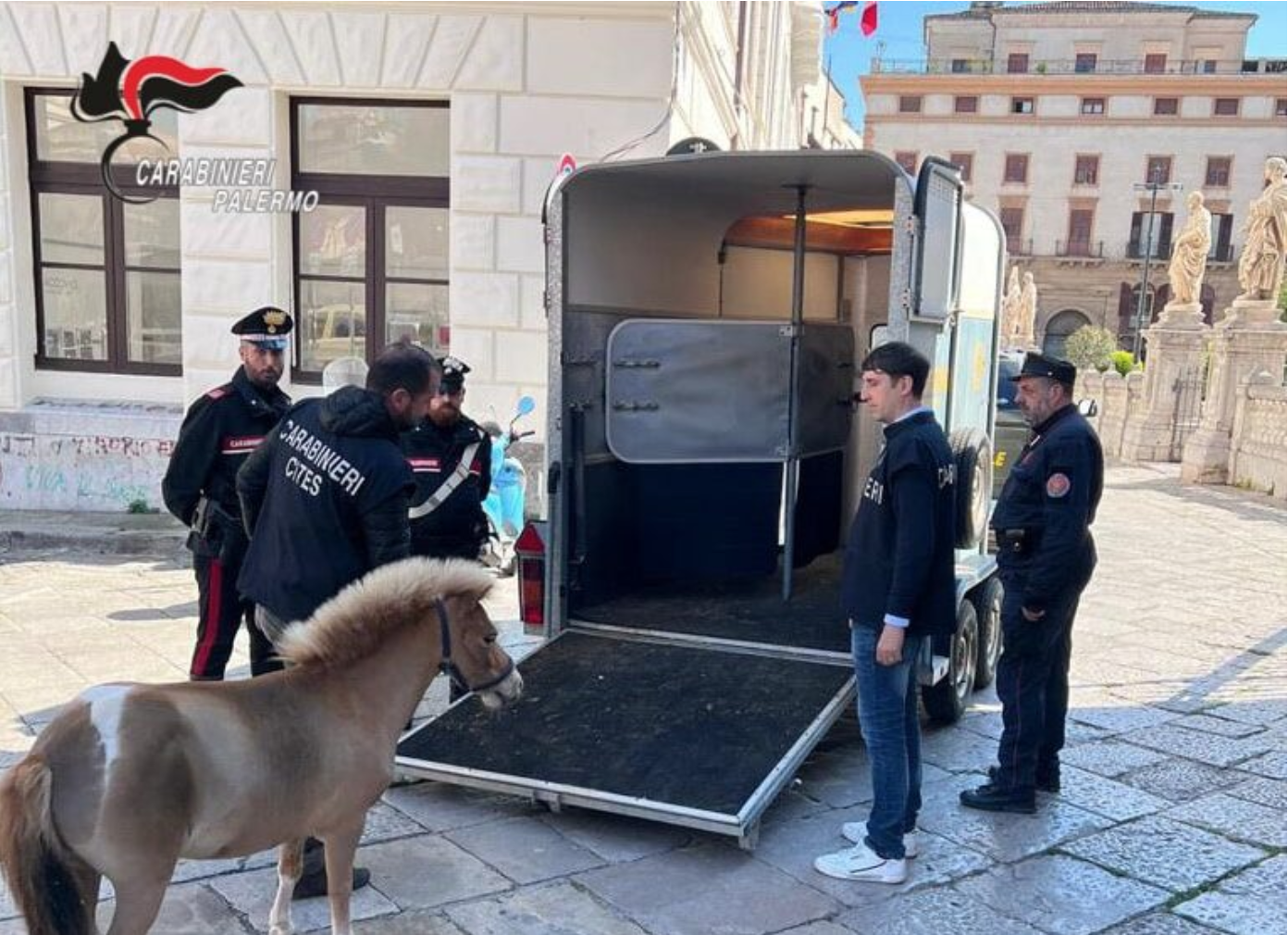 Schermata 2023 03 25 alle 10.40.46