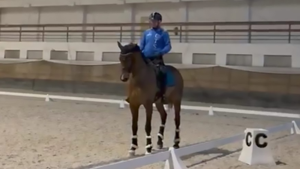Paradressage: super-Vaccaro in Slovacchia