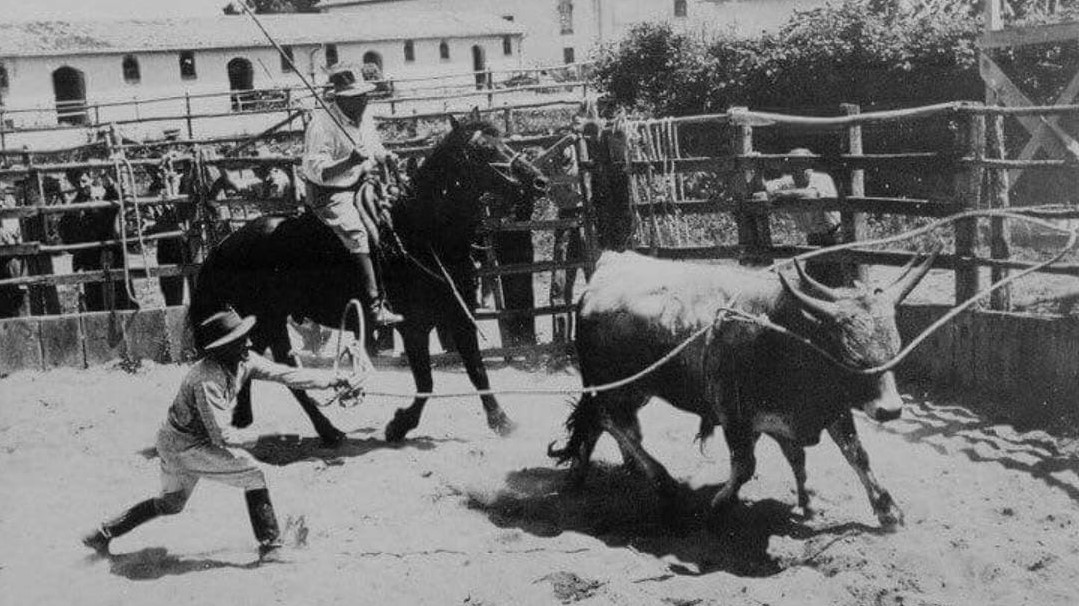 Alberese avrà il Museo del Buttero e delle Tradizioni