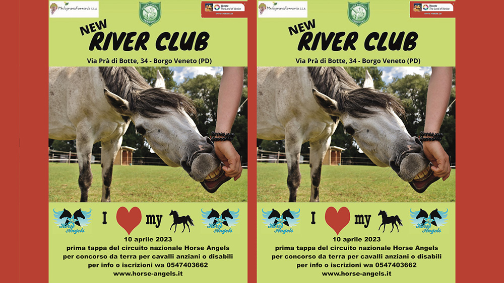 Horse Angels: l’amico equestre anche da terra