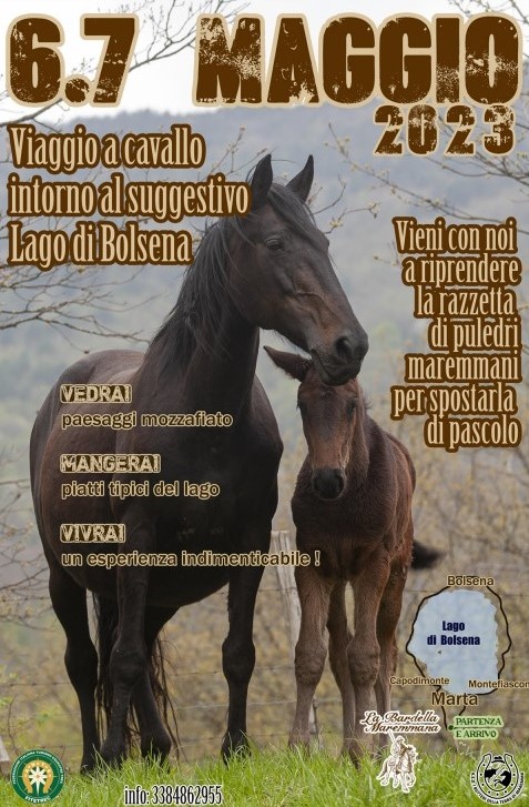 lago 20231