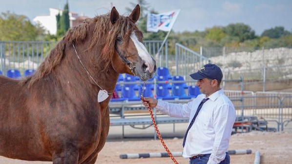 In Puglia con i Caitpr gli antichi ricordi camminano sui tratturi