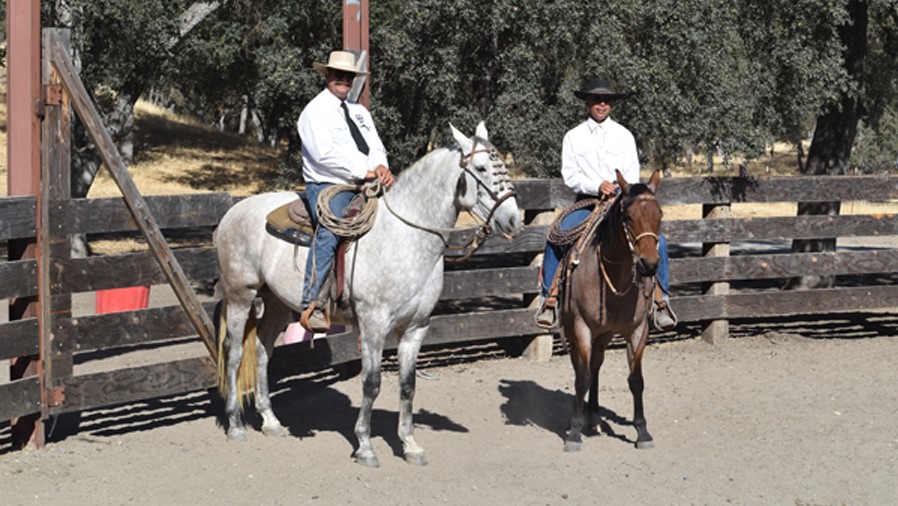 7° Italian Vaquero Heritage Day: a maggio al Ranch del Mare di Rovigo