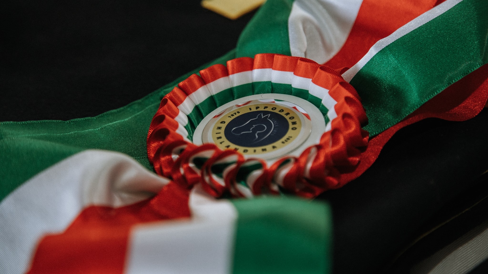 Al Ghirlandina per il Gran Premio Giovanardi: una giornata speciale