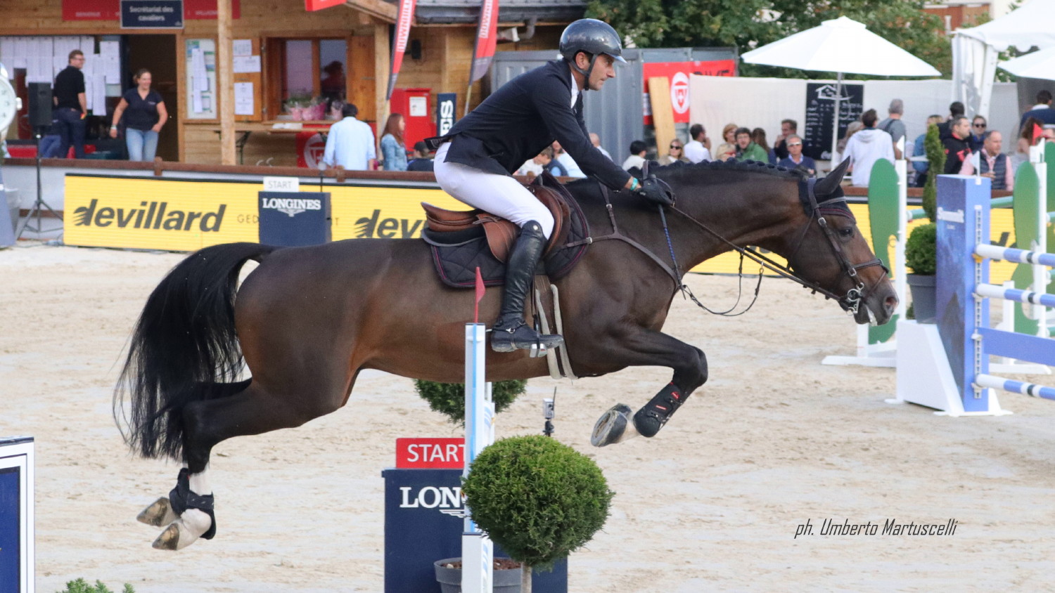 Addio a Carpe Diem: Bucci piange il suo campione