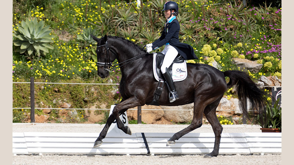 Bene le azzurre del dressage all’estero