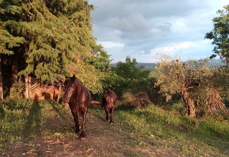 IMG 20190524 194642