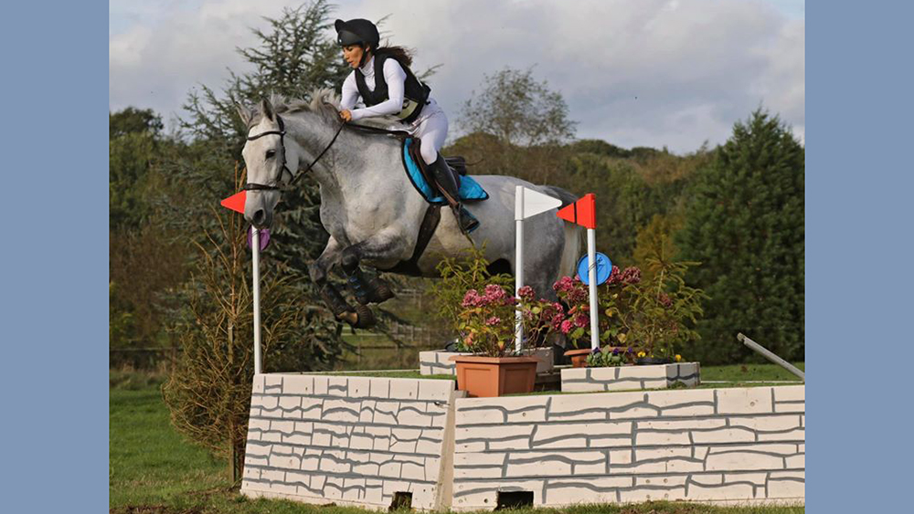 Presto bitless anche per la Fei?