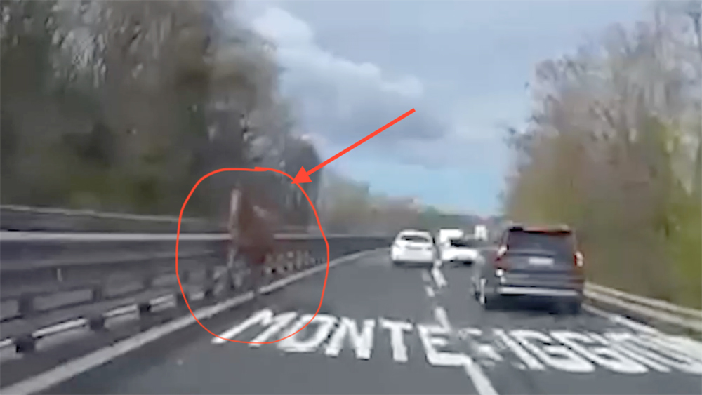 Cavallo contromano sull’Autopalio