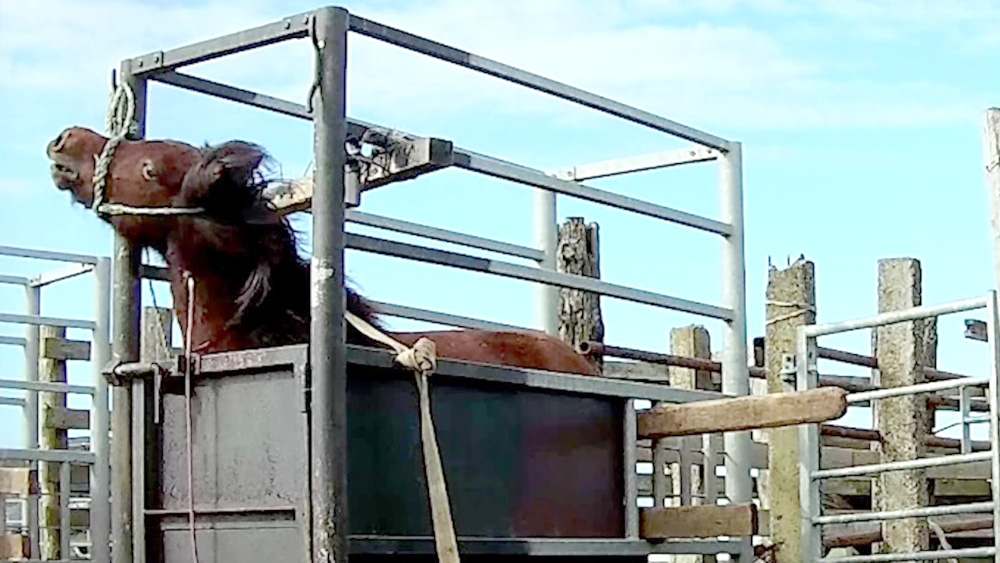 Battaglia storica IHP in prima serata su Rai3