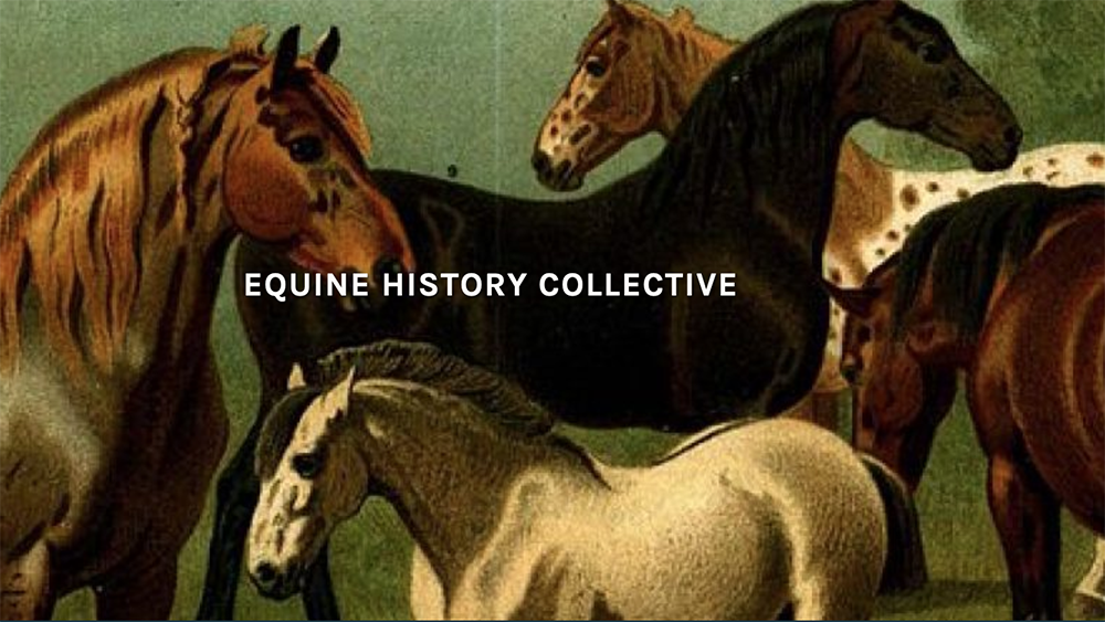Noi e gli equidi attraverso la storia: conferenza