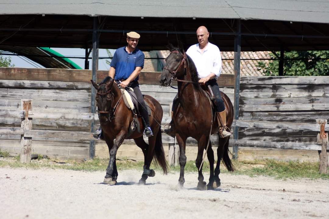 WhatsApp Image 2023 04 25 at 18.07.05