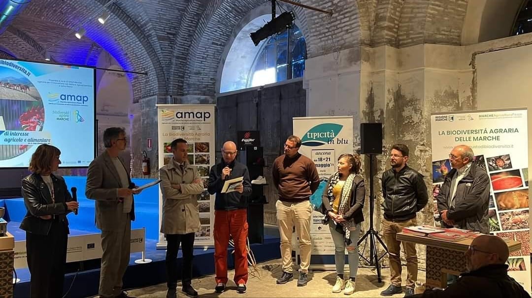 Biodiversità: premiata l’associazione ‘Cavallo del Catria’