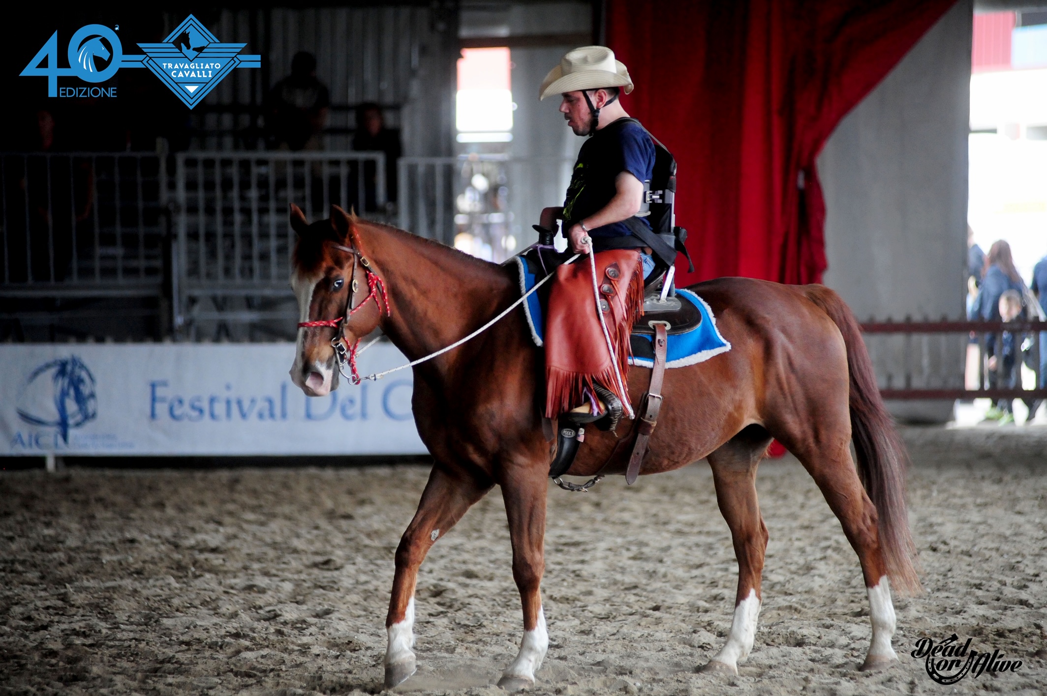 Enea Ferroni Fieracavalli
